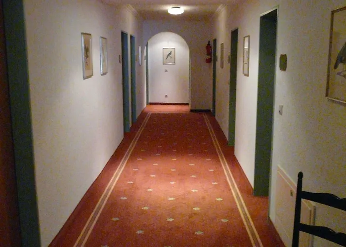 Hotel Roter Hahn - 3*